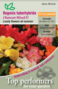 Begonia Chanson Mixed F1                      