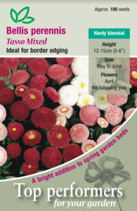 Bellis Tasso Mixed                            