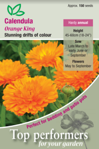 Calendula Orange King