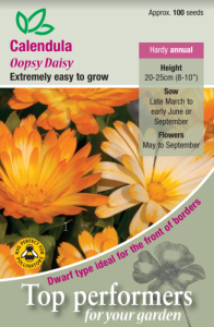 Calendula Oopsy Daisy