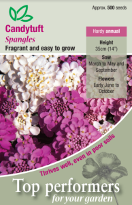 Candytuft Spangles                              