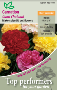 Carnation Giant Chabaud Mixed             