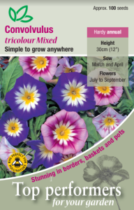 Convolvulus Tri Colour                           