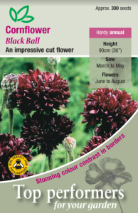 Cornflower Black Ball                          