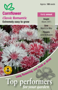 Cornflower Classic Romantic                   
