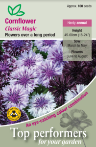 Cornflower Classic Magic                          