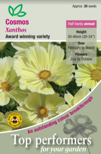 Cosmos Xanthos                                