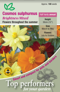 Cosmos Brightness Mixed                          
