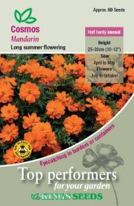 Cosmos Mandarin Kings                                  