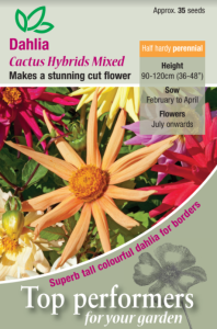 Dahlia Cactus Hybrids Mixed 