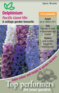 Delphinium Pacific Giants Mixed 
