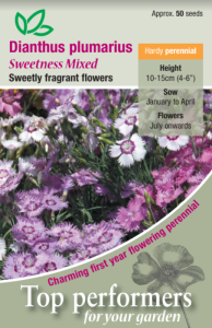 Dianthus Plumarius Sweetness Mixed       