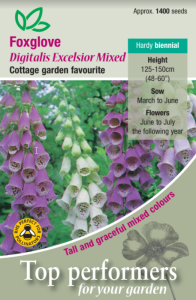 Foxglove Excelsior Mixed                     