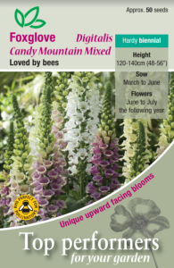 Foxglove Candy Mountain Mixed                