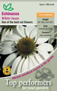 Echinacea White Swan Prima Donna