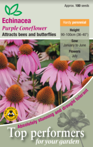 Echinacea Purple Coneflower                      