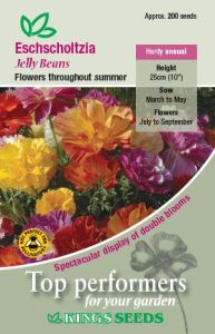 Eschscholtzia Jelly Bean                       