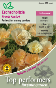 Eschscholtzia Peach Sorbet                       