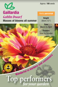 Gaillardia Goblin Dwarf 