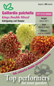 Gaillardia Pulchella Kings Double Mixed              