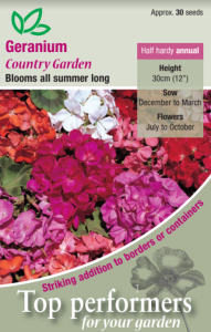 Geranium Country Garden                        