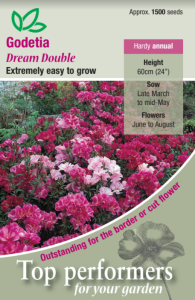 Godetia Dreamdouble Mixed                  