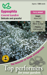 Gypsophila Covent Garden                       