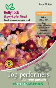 Hollyhock Happy Lights Mixed                 