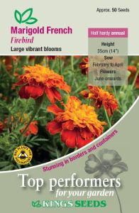 Marigold French Firebird                         