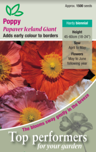 Poppy Iceland Giant                          