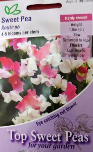 Sweet Pea Route 66                         