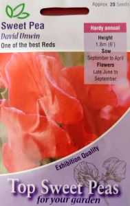 Sweet Pea David Unwin                             
