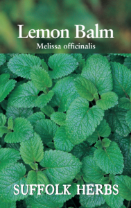 Herb Balm Lemon                                  