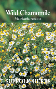 Herb Chamomile                         
