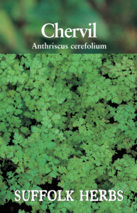 Herb Chervil                                   