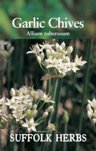 Herb Chives Garlic                         
