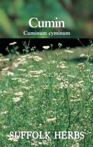 Herb Cumin
