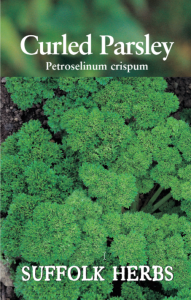 Herb Curled Parsley