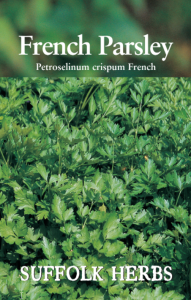 Herb French Parsley