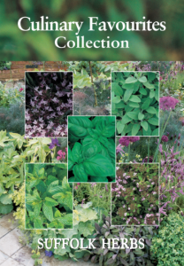 Herb Culinary Favourites Collection