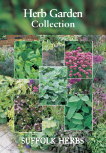 Herb Garden Collection Pack              