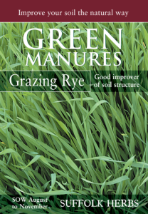 Green Manure Grazing Rye