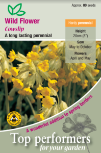 Wild Flower Cowslip                   