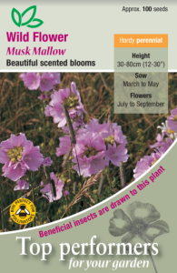 Wild Flower Musk Mallow                        