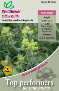Wild Flower Yellow Rattle