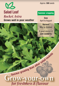 Salad Leaf Rocket Astra                           