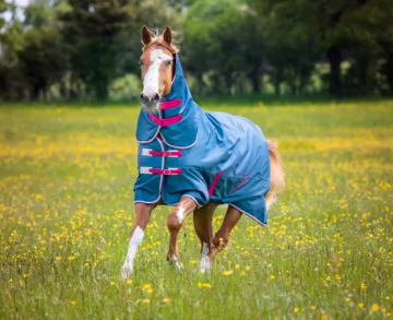 Shires Tempest Lite Turnout Combo  5'9" 69"