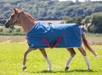 Shires Tempest Lite Turnout 57" 9330