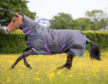 Shires Tempest 300 Rug & Neck Set 5'6" 66"