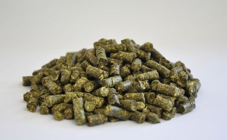 Dengie Alfalfa Pellets